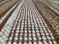 Vloerkleed handgeweven jute wol PET Nat cognac 200x300cm